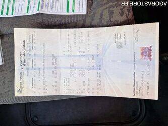 2005-renault-master-1409611-45149137