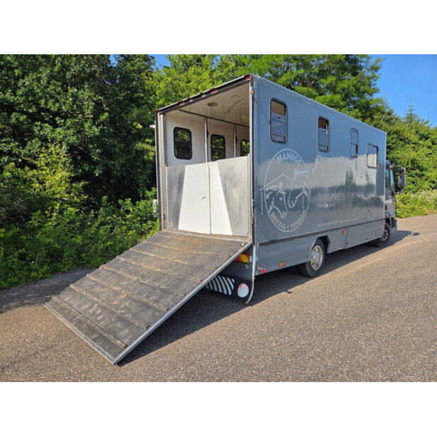 2006 Iveco 75E-45162635