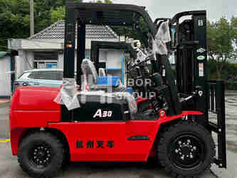 Image de CHARIOTS ÉLÉVATEURS 2026 HANGZHOU A30 À vendre à Chine