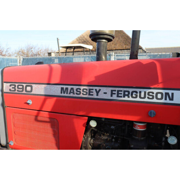 ماسي فيرغسون 390-45186118