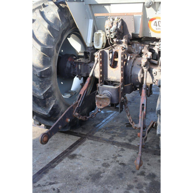 ماسي فيرغسون 390-45186124