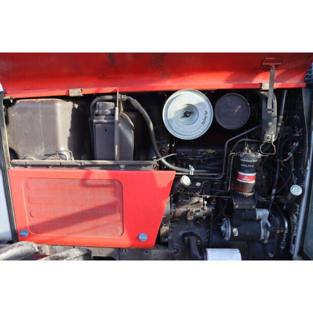 ماسي فيرغسون 390-45186138