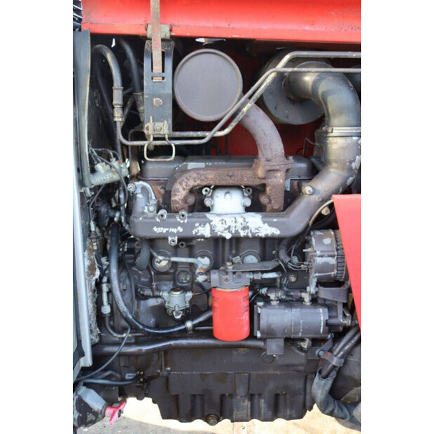 ماسي فيرغسون 390-45186141