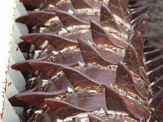 belrecolt-hrb-30-1411364-45189075