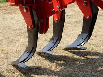 2025-ozduman-dpt6-1411380-45189566