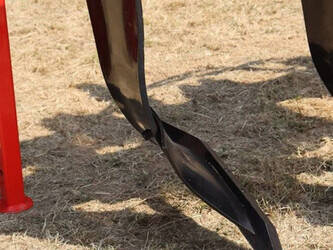 2025-ozduman-dpt6-1411381-45189582