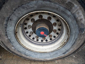 2020-galtrailer-b2ps-10cnn-hydr-achterdeur-45191308