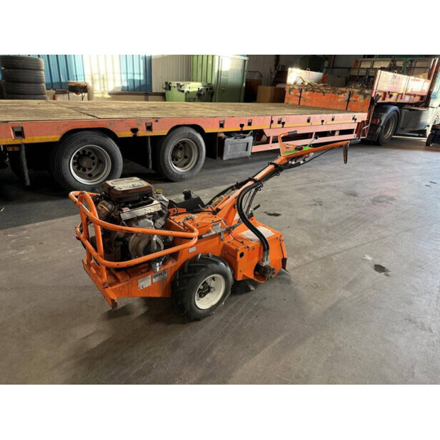 2019 باريتو 1620-45194757