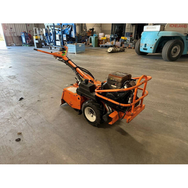 2019 باريتو 1620-45194759