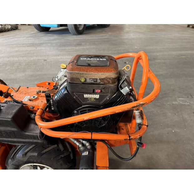 2019 باريتو 1620-45194766