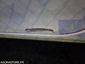 2005-renault-twingo-1411679-45209544