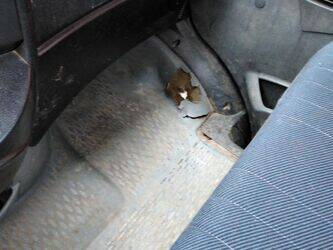 2004-iveco-35c10-1411695-45209695