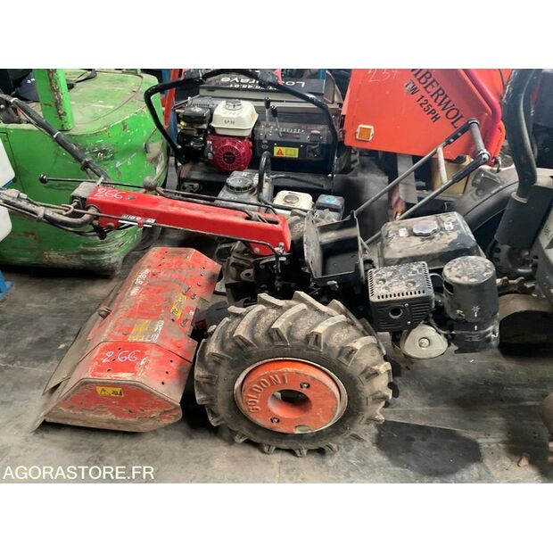 2017 Goldoni-45209702