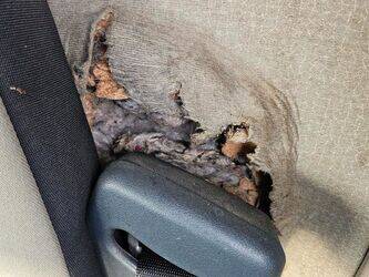 2009-renault-premium-1411699-45209759