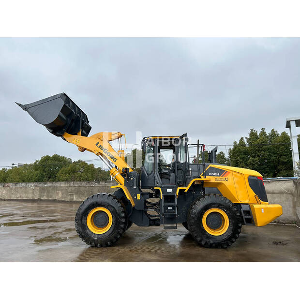 2024 ليوكونج 856H-45242285