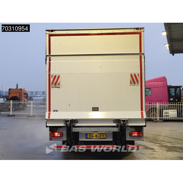 2018 رينو D210-45245756