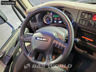 2020-daf-lf-290-1412271-45247585