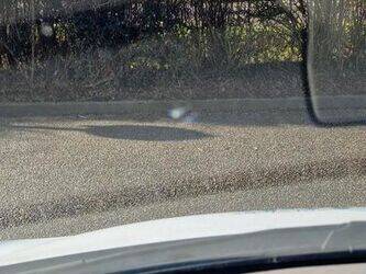 2017-renault-master-1412362-45261698