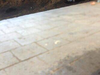 2007-renault-master-1412422-45262150