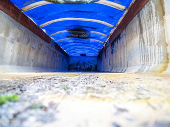 1990-benalu-benne-45283495