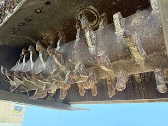 2019-stehr-sbf24-45306635