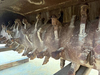 2019-stehr-sbf24-1413285-45306810