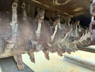 2019-stehr-sbf24-1413285-45306811