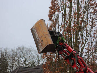 2021-yanmar-vio23-6-1413891-45338330