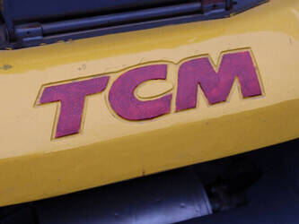 2013-tcm-fg25t3-45338773