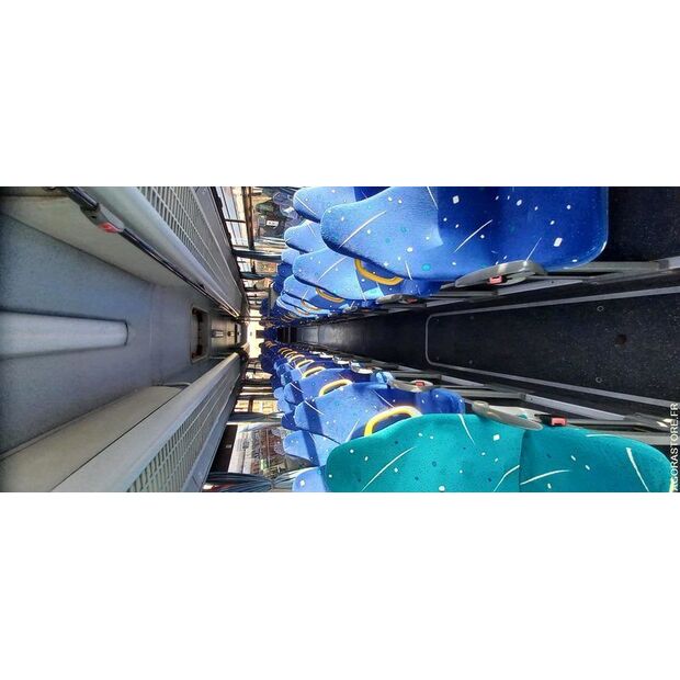 2010 Mercedes-Benz INTOURO-45354048