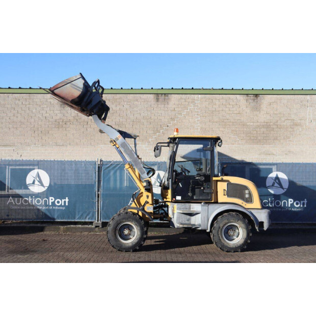 2019 Everun ER12-45359543