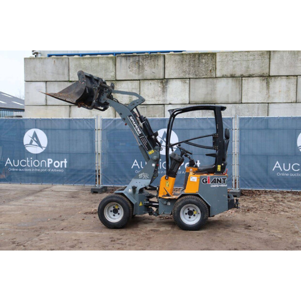 2019 GiANT D254SW-45360569