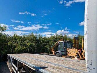 2007-samro-1414571-45389030