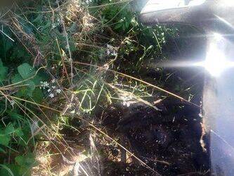 2002-audi-a6-1414821-45410192