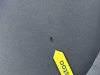 2009-citroen-c1-1414973-45411473