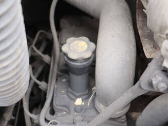 2009-case-ls7-1415239-45416846