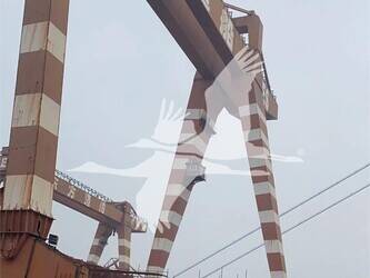 2011-jehi-mus900-45457317