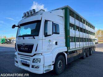 Image de Camions bétaillères 2019 MAN TGS 35.500