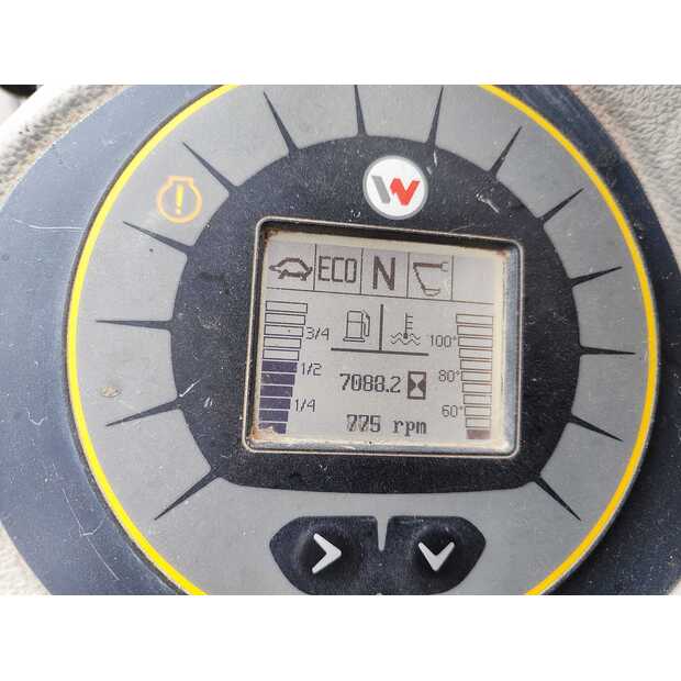 2017 واكر نيوسون EW100-45481702