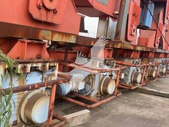 2011-jehi-mus900-45516883