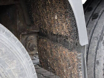 2013-krone-others-1424554-45549813