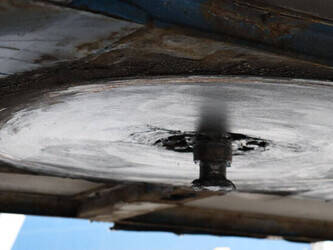 2013-krone-others-1424554-45549826