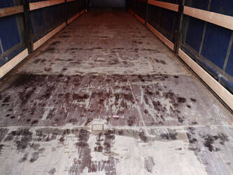 2014-krone-others-1424556-45549924