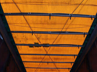 2014-krone-others-1424556-45549926