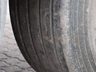 2018-schmitz-cargobull-others-1424561-45550157