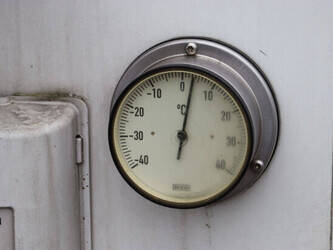 2019-schmitz-cargobull-others-1424562-45550208