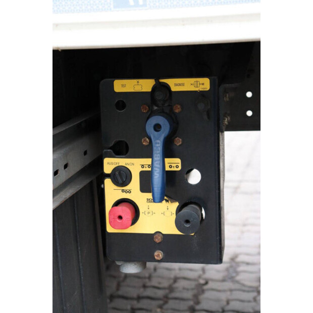 2019 شميتز كارجوبول OTHERS-45550230