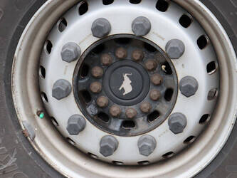 2019-schmitz-cargobull-others-1424562-45550232