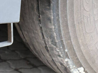 2019-schmitz-cargobull-others-1424562-45550234