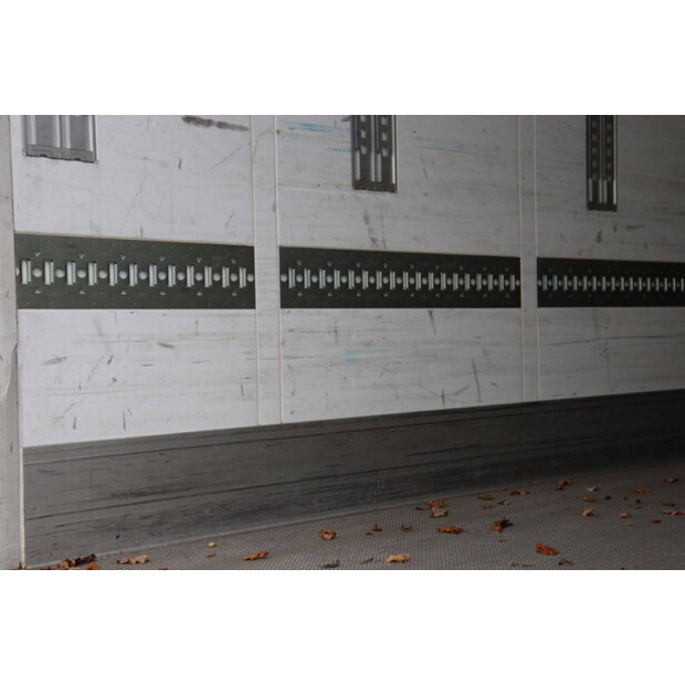 2019 شميتز كارجوبول OTHERS-45550252